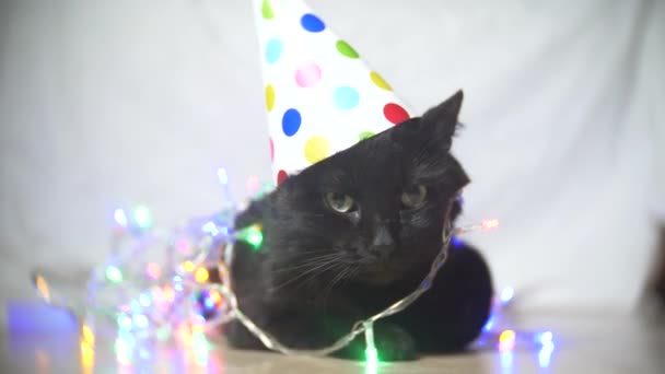 Un chat noir endormi avec une guirlande dans un bonnet de fête. 4k. Mouvement lent — Video