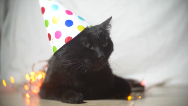 Um gato preto sonolento com uma grinalda em um gorro festivo. 4K. Movimento lento — Vídeo de Stock