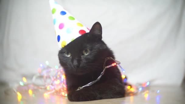 Un gato negro soñoliento con una guirnalda en una gorra festiva. 4k. Movimiento lento — Vídeo de stock