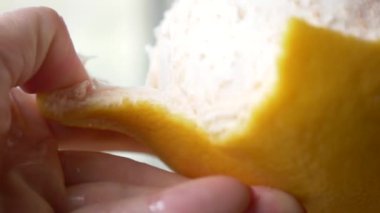 Eller greyfurt temiz. 4 k, yakın çekim, ağır çekim