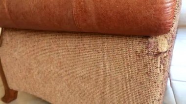 bir kedi pençeleri tarafından şımarık bir koltuk. kedi pençeleri üzerinde sandalye ve döşeme gelen çizikler. 4 k, yakın çekim, ağır çekim çekim.