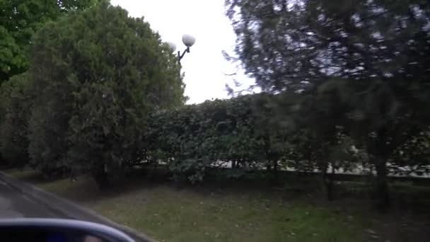 Visa från bilfönstret vid sidan av vägen, längs banvallen, 4k, slow motion — Stockvideo