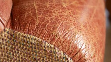 bir kedi pençeleri tarafından şımarık bir koltuk. kedi pençeleri üzerinde sandalye ve döşeme gelen çizikler. 4 k, yakın çekim, ağır çekim çekim.