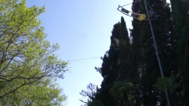 Kentin çiçekli sokak rides bir arabanın penceresinden görünümü. 4k, ağır çekim