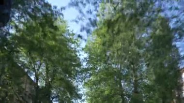Kentin çiçekli sokak rides bir arabanın penceresinden görünümü. 4k, ağır çekim
