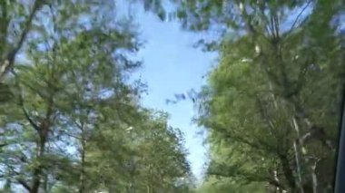 Kentin çiçekli sokak rides bir arabanın penceresinden görünümü. 4k, ağır çekim