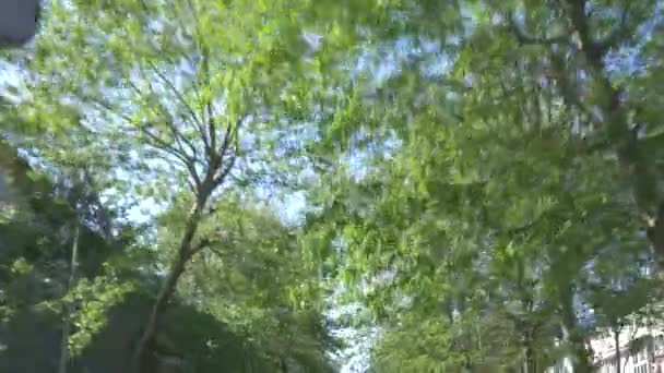 La vue depuis la fenêtre d'une voiture qui longe la ruelle fleurie des villes. 4k, au ralenti — Video