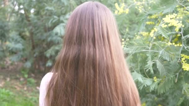 Ragazza adolescente raddrizza i capelli lunghi. sta accanto all'albero mimosa fiorito. 4k, rallentatore — Video Stock