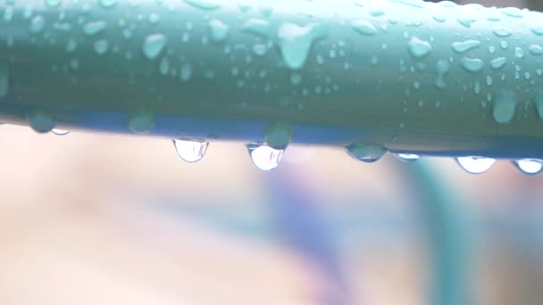 Des gouttes d'eau pendent sur la rampe de fer bleu humide, après la pluie. La nature. Temps nuageux. pluvieux. 4k, ralenti, gros plan — Video