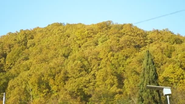 Herfstbos op de bergen vanuit het rijdende autoraam. vervaging — Stockvideo