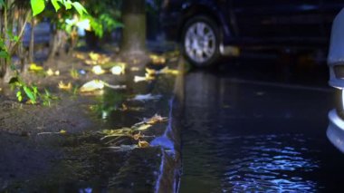 Sonbaharda, yağmurda, otoparktaki su birikintisine düşen yapraklar. iyi akşamlar