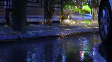 Sonbaharda, yağmurda, otoparktaki su birikintisine düşen yapraklar. iyi akşamlar