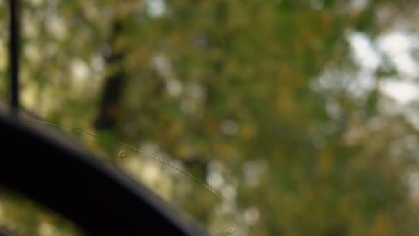 Расплывчатый фон. капли дождя на лобовое стекло автомобиля на фоне осени — стоковое видео