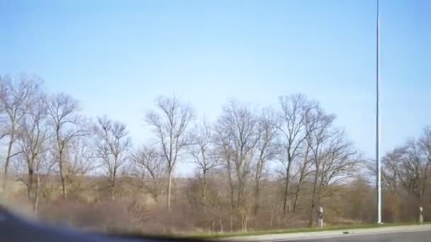 Widok z przedniej szyby samochodu podczas jazdy. pusta droga otoczona polami — Wideo stockowe