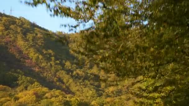 The view from the window of a moving car on the autumn landscape — Stockvideo