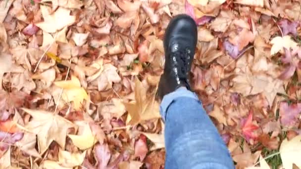 顶视图。 在秋天落叶上行走的黑鞋女腿 — 图库视频影像
