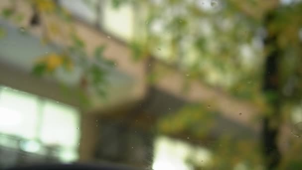 Blurred background. rain drops on car windshield in the background of autumn — Stockvideo