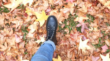 Üst Manzara. Siyah ayakkabılı kadın bacakları düşen sonbahar yapraklarında yürüyor.
