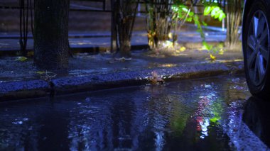 Sonbaharda, yağmurda, otoparktaki su birikintisine düşen yapraklar. iyi akşamlar
