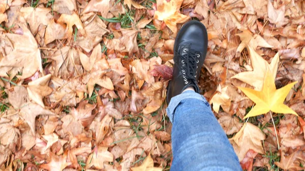 위에서 본 모습. 검은 구두를 신고 가을 나뭇잎 위를 걷고 있는 암컷 다리 — 스톡 사진