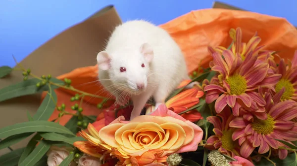 Biały cute myszy na bukiet róż. skopiować przestrzeń. Gratuluję. — Zdjęcie stockowe