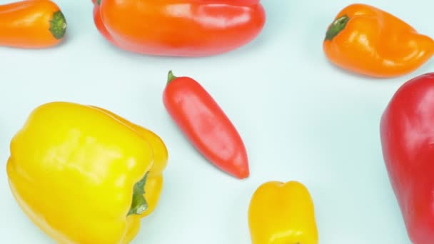 Piccoli e grandi peperoni multicolori su sfondo blu — Video Stock
