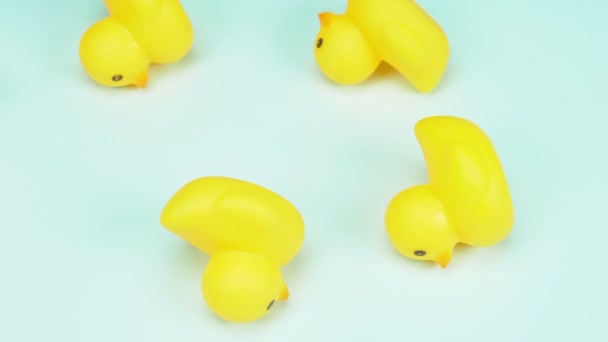 Yellow rubber ducklings on blue background. the view from the top. — Stock Video