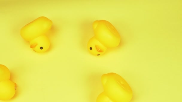 Yellow rubber ducklings on yellow background. the view from the top. — Stock Video