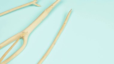 Doğal arka plan moda tasarımı. Mavi arkaplanda kuru dallar