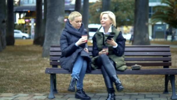 Dos mujeres rubias adultas hablando, sentadas en un banco del parque . — Vídeos de Stock