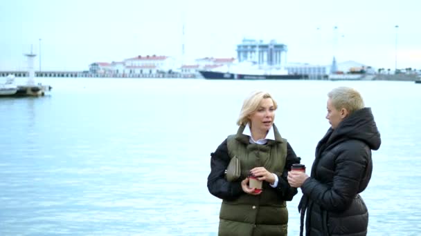 Dvě krásné stylové blondýny mluví na molu námořnictva — Stock video