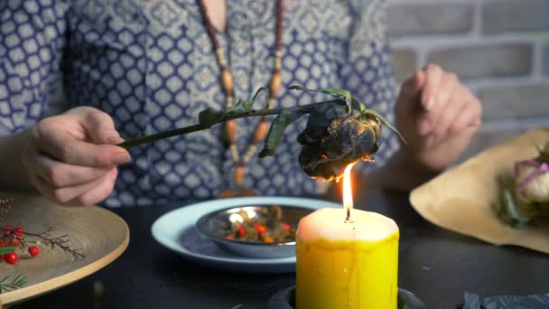 Ervas bruxas. ritual com ervas queimadas. magia branca natural — Vídeo de Stock