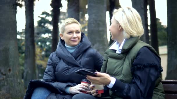 Дві дорослі блондинки розмовляють, сидячи на лавці парку . — стокове відео