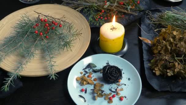 Mystical background. dry herbs , flowers, berries and candles on the table — Stock Video