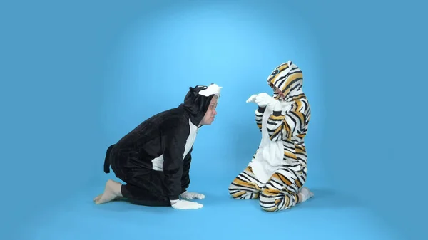 cat and dog. a woman and a man in a kigurumi cat and dog. blue background