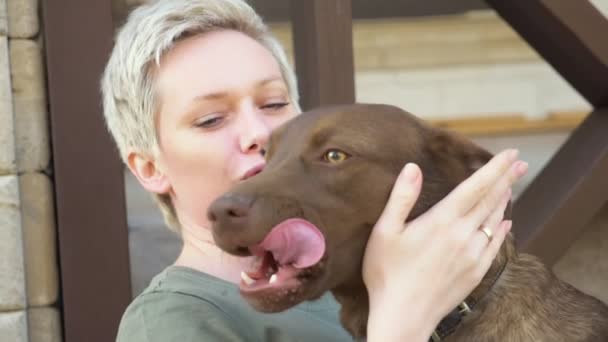 Stylowe piękne kobieta przytulając psa w podwórku na jasny słoneczny dzień — Wideo stockowe