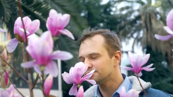 Retrato de un joven guapo entre la flor rosa de Magnolia — Vídeo de stock