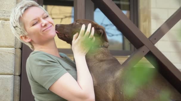 Стильна красива жінка обіймає собаку у дворі в ясний сонячний день — стокове відео