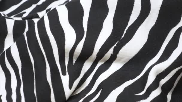 Textura de tecido de fundo. dobras de tecido com impressão animal de tecido zebra — Vídeo de Stock