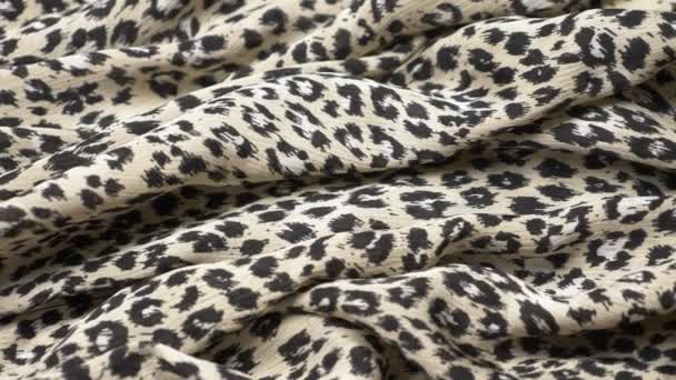 Pozadí tkaniny. záhyby látky s zvířecím leopardem. kopírovat prostor — Stock video