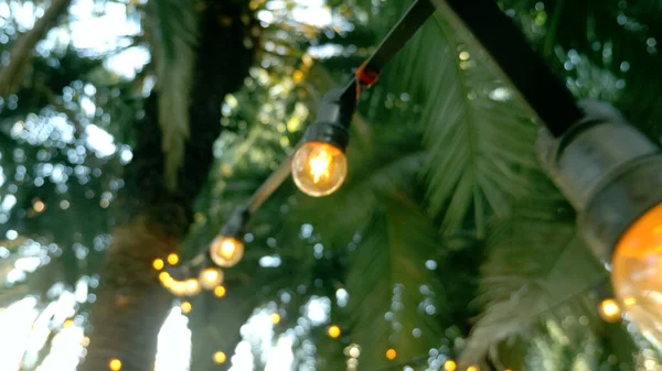 stock image closeup, palm leaves and a garland of lamps. against the sky