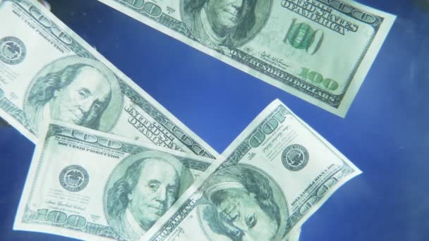 Víz alatt. 100 dolláros bankjegyek lebegnek a víz felszínén. — Stock videók