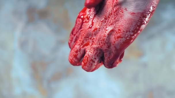 Manos ensangrentadas, sangre goteando de sus manos. espacio de copia — Vídeo de stock