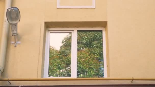 Träd reflekteras i fönstret i byggnaden, utanför. kopieringsutrymme — Stockvideo