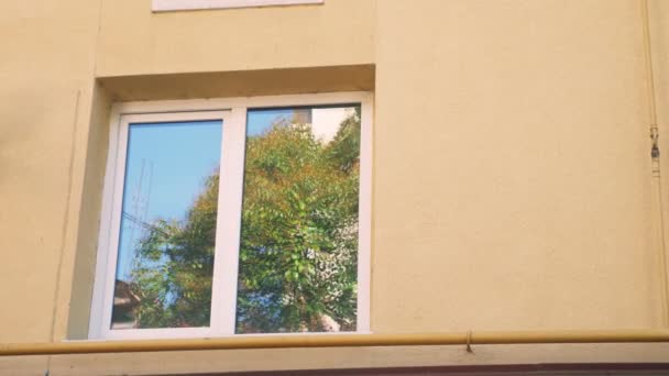 Trees reflected in the window of the building, outside. copy space — Stock Video