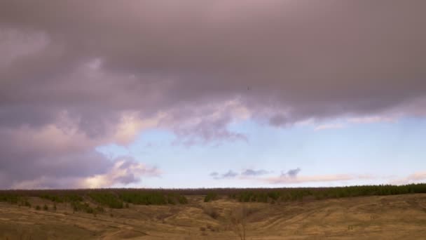 Landscape. storm clouds over the field. copy space — Stock Video