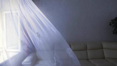 Pencerede şeffaf bir perde, odada rüzgarın hafifçe hareket ettirdiği