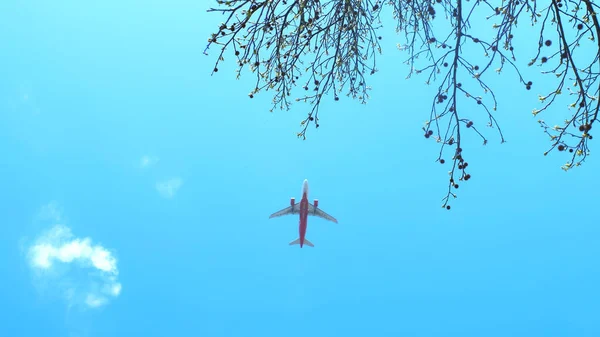 The plane with the words flying on blue sky background — Stock Photo, Image