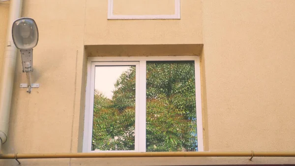 Árvores refletidas na janela do edifício, fora. espaço de cópia — Fotografia de Stock