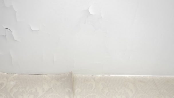 Rooms requiring repair. peeling wallpaper and cracked plaster — Stock Footage Rooms requiring repair. peeling wallpaper and cracked plaster Royalty Free Stock Video